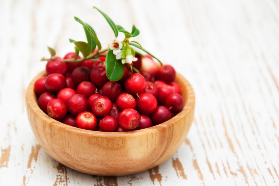 2024【蔓越莓益生菌推薦攻略】蔓越莓益生菌功效、挑選技巧與服用方式